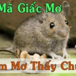 Nằm mơ thấy chuột nên đánh con mấy chuẩn xác để trúng to 2023
