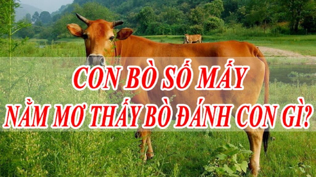 Mơ thấy bò rượt là điềm báo đánh con gì số mấy dễ trúng lớn nhất Mơ thấy bò rượt là điềm báo đánh con gì số mấy dễ trúng lớn nhất