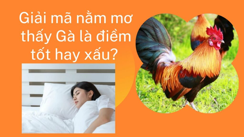 Mơ thấy gà con trống mái có tốt không nên đánh con gì chuẩn xác?