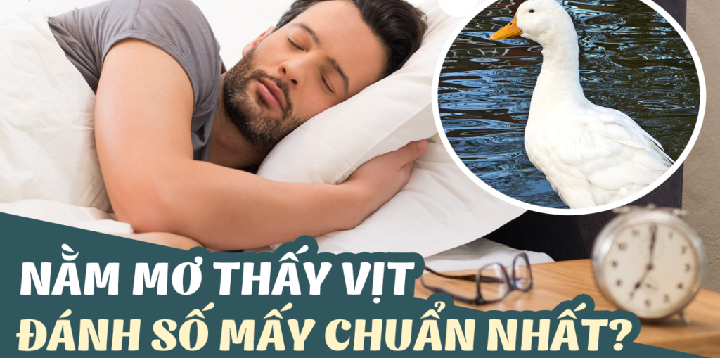 Nằm mơ thấy vịt trắng xi&ecirc;m trứng lộn n&ecirc;n đ&aacute;nh con số g&igrave; h&ocirc;m nay?