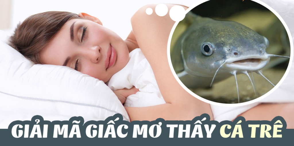 Nằm mơ thấy cá trê tốt không? Đánh số mấy trúng lớn lô đề 2023? Nằm mơ thấy cá trê tốt không? Đánh số mấy trúng lớn lô đề 2023?